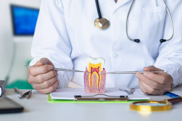 Best Emergency Treatment for Oral Infections in Perry, UT